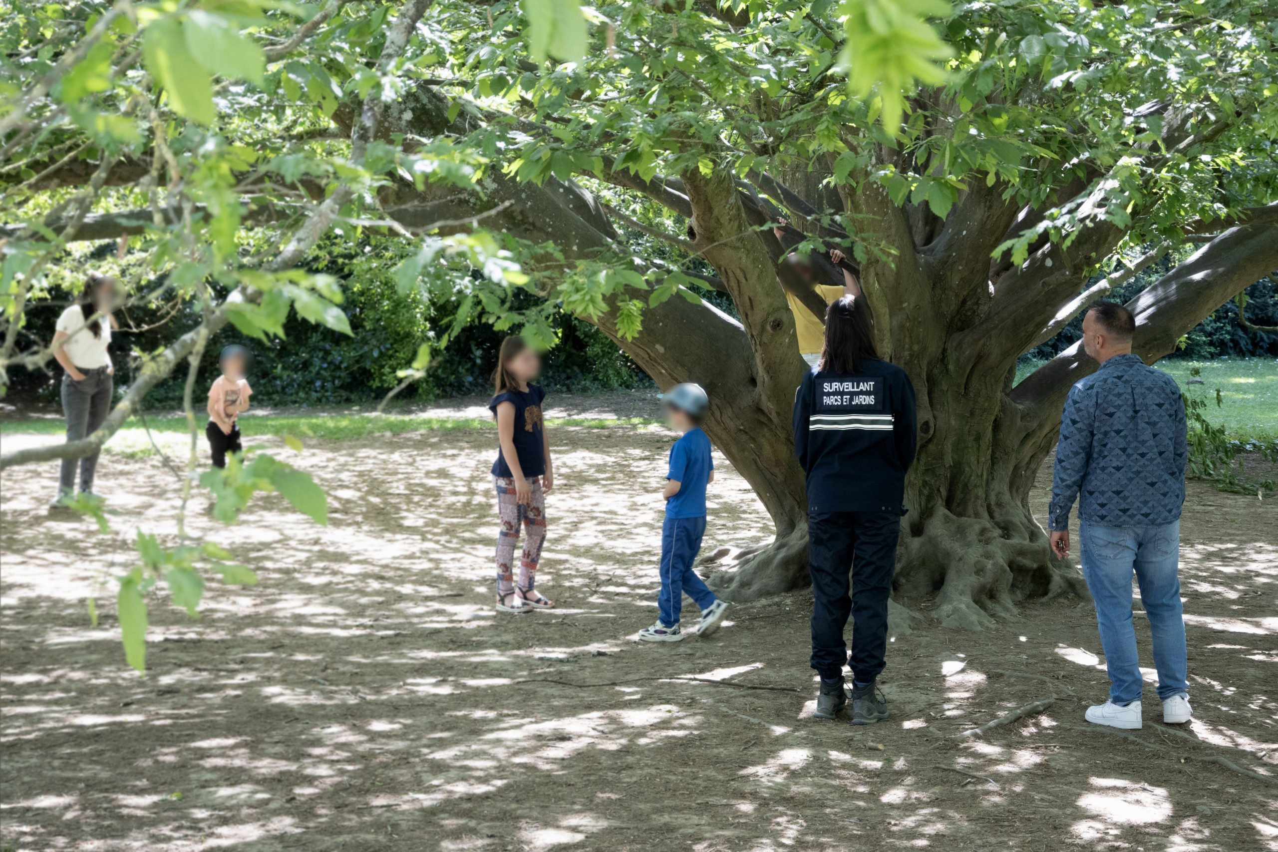 enfants qui grimpes dans un arbre